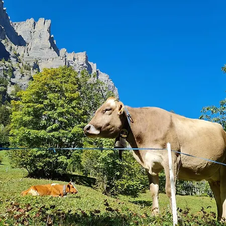 Athosia Apartmán Leukerbad