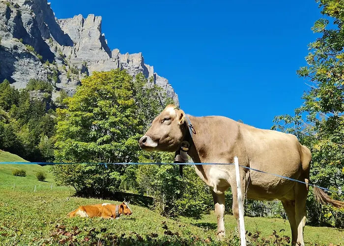 Athosia 公寓 洛伊克巴德